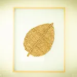 Eden Sky In Prazeres