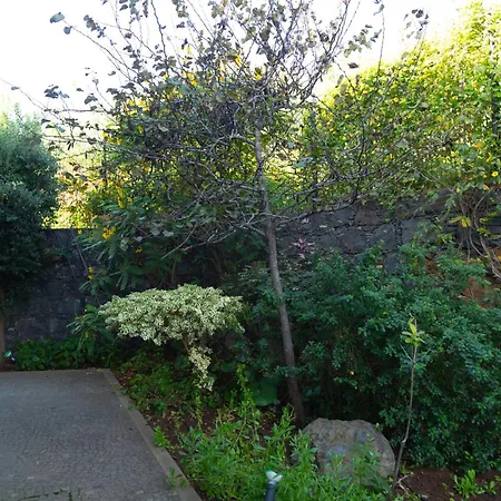 Eden Sky In Vakantiehuis *