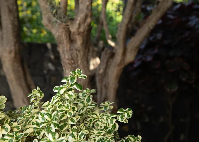 Prázdninový dům Eden Sky In